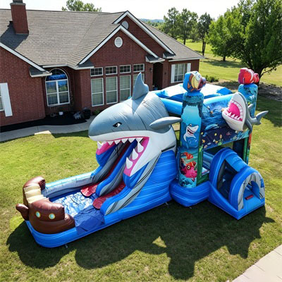 Giant challenge sport hoop inflatable basketball games